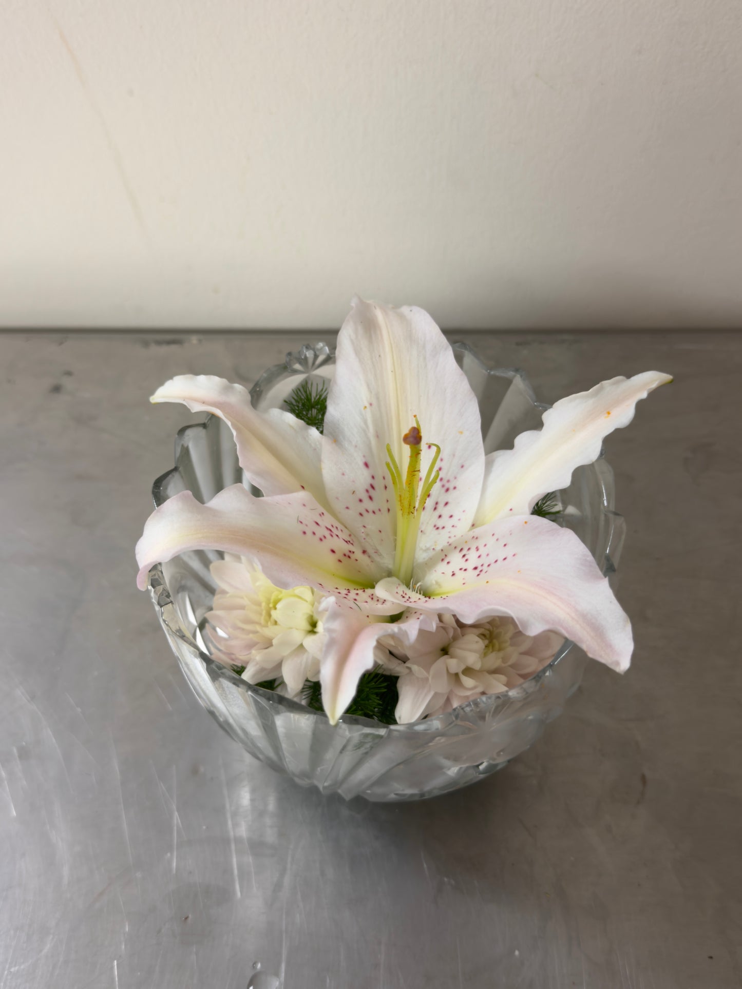 Small & Delicate